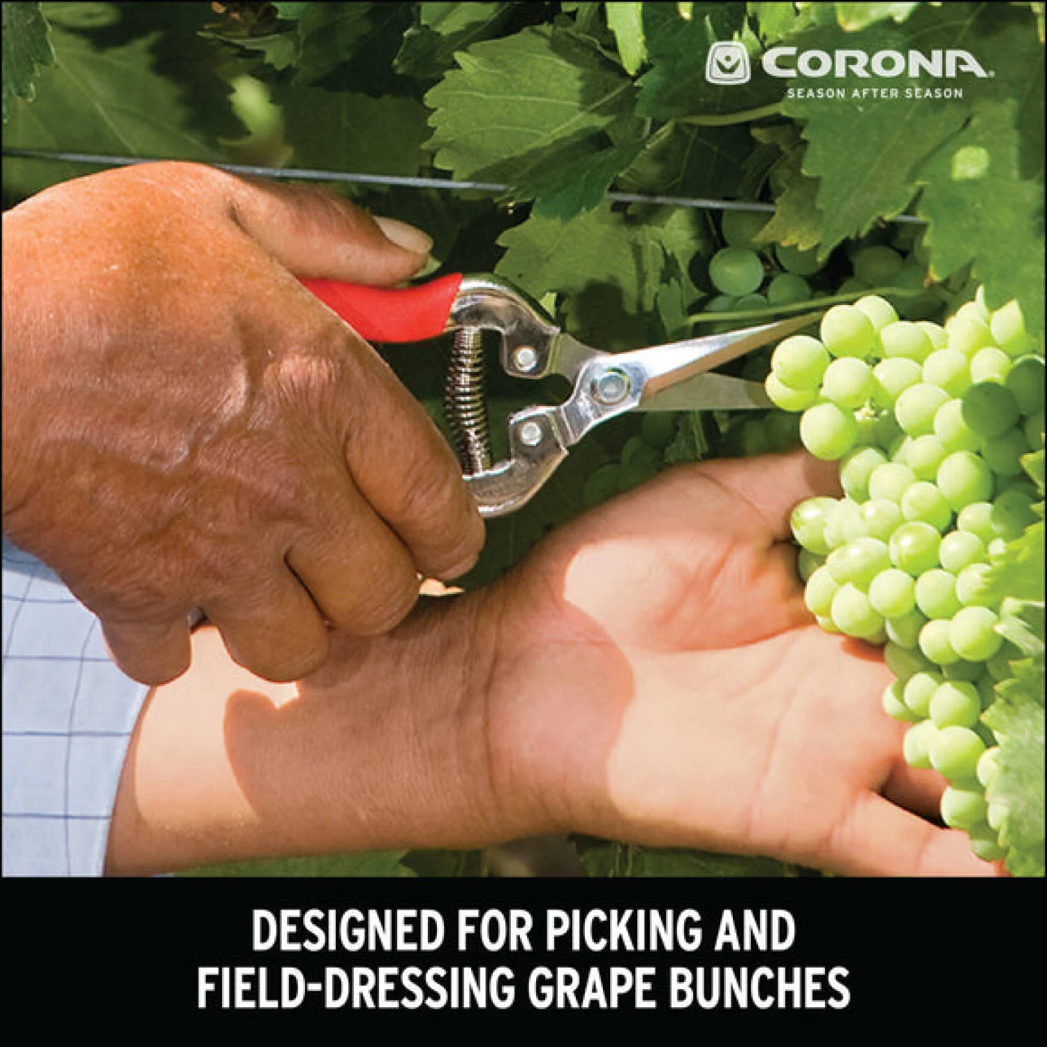 Corona AG 4940SS  Long Curved Snips - Stainless Steel, 1¾ Inch - Image 12