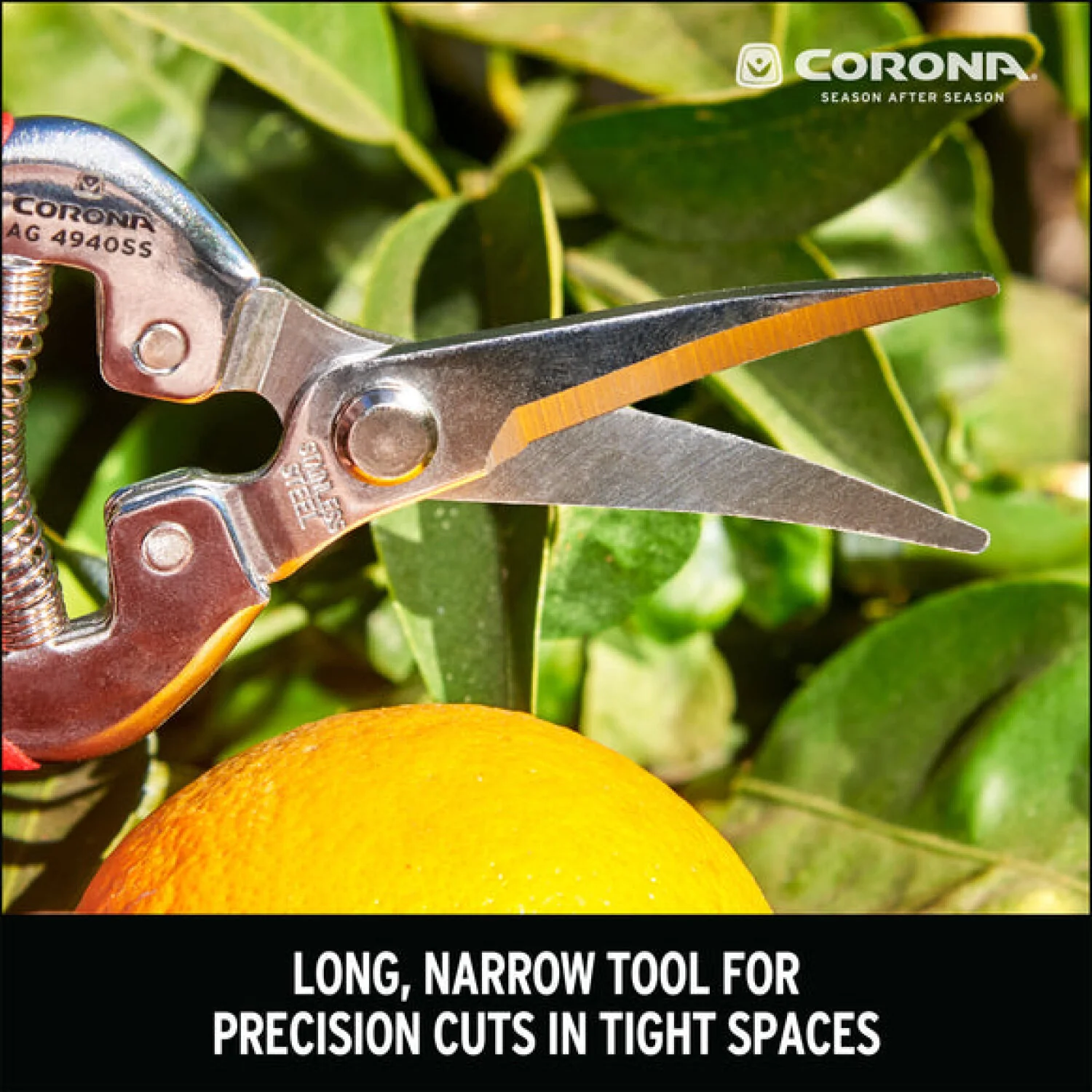 Corona AG 4940SS  Long Curved Snips - Stainless Steel, 1¾ Inch - Image 13