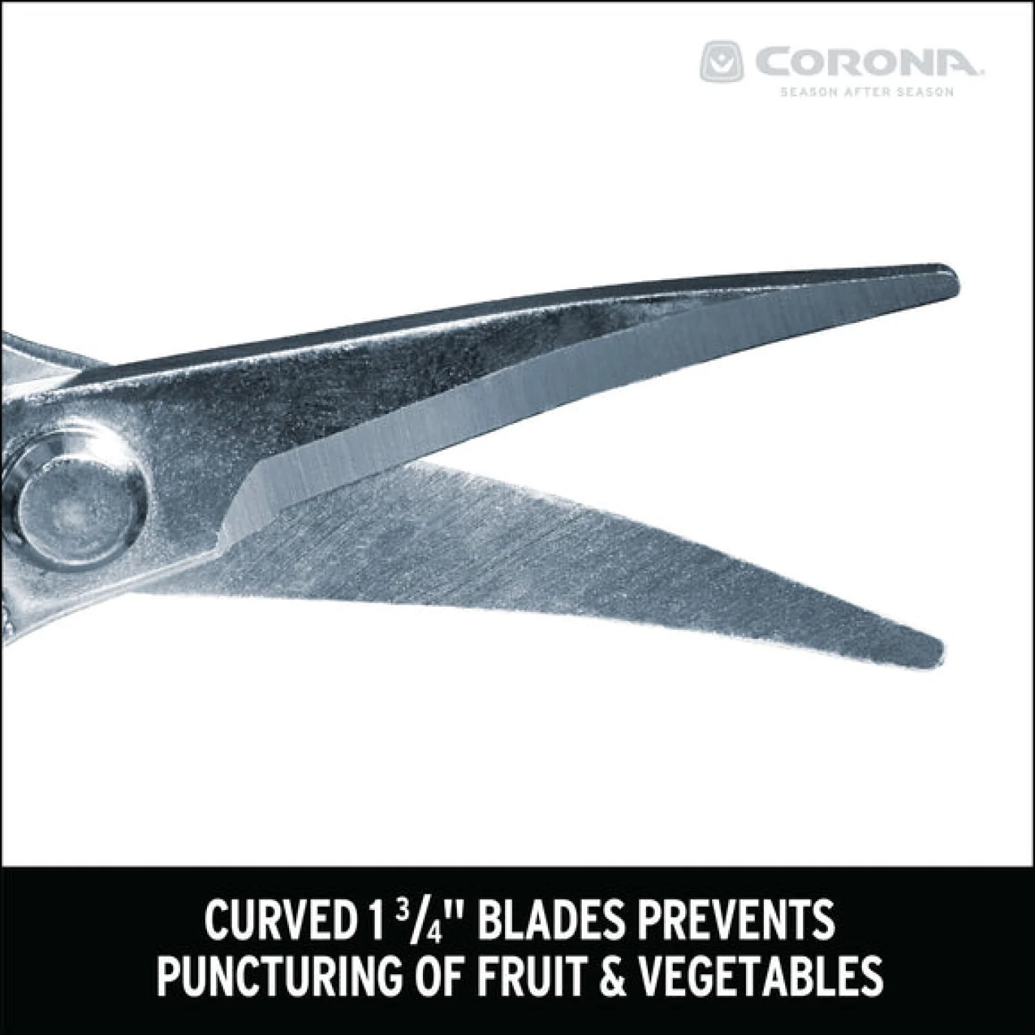 Corona AG 4940SS  Long Curved Snips - Stainless Steel, 1¾ Inch - Image 5