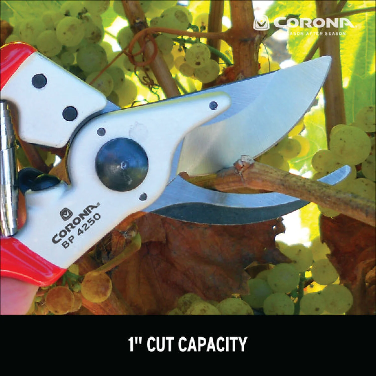 Corona BP 4250  ALUMINUM Bypass Pruner - 1 Inch, Straight - Image 9