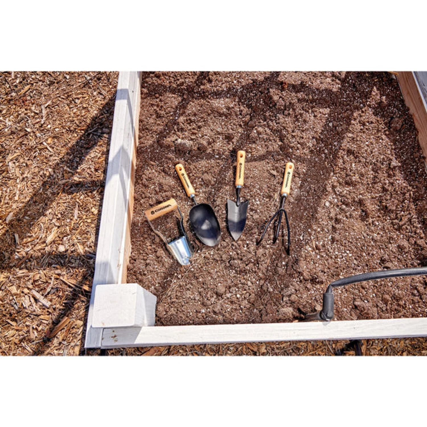 Corona CT 4080  Wooden Handle Bulb Transplanter - Image 6