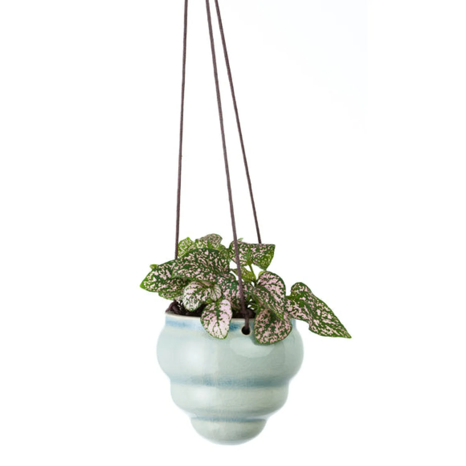 Corona GIG/HBOMTRIO Burgon & Ball® Baby Bombini Trio Vases