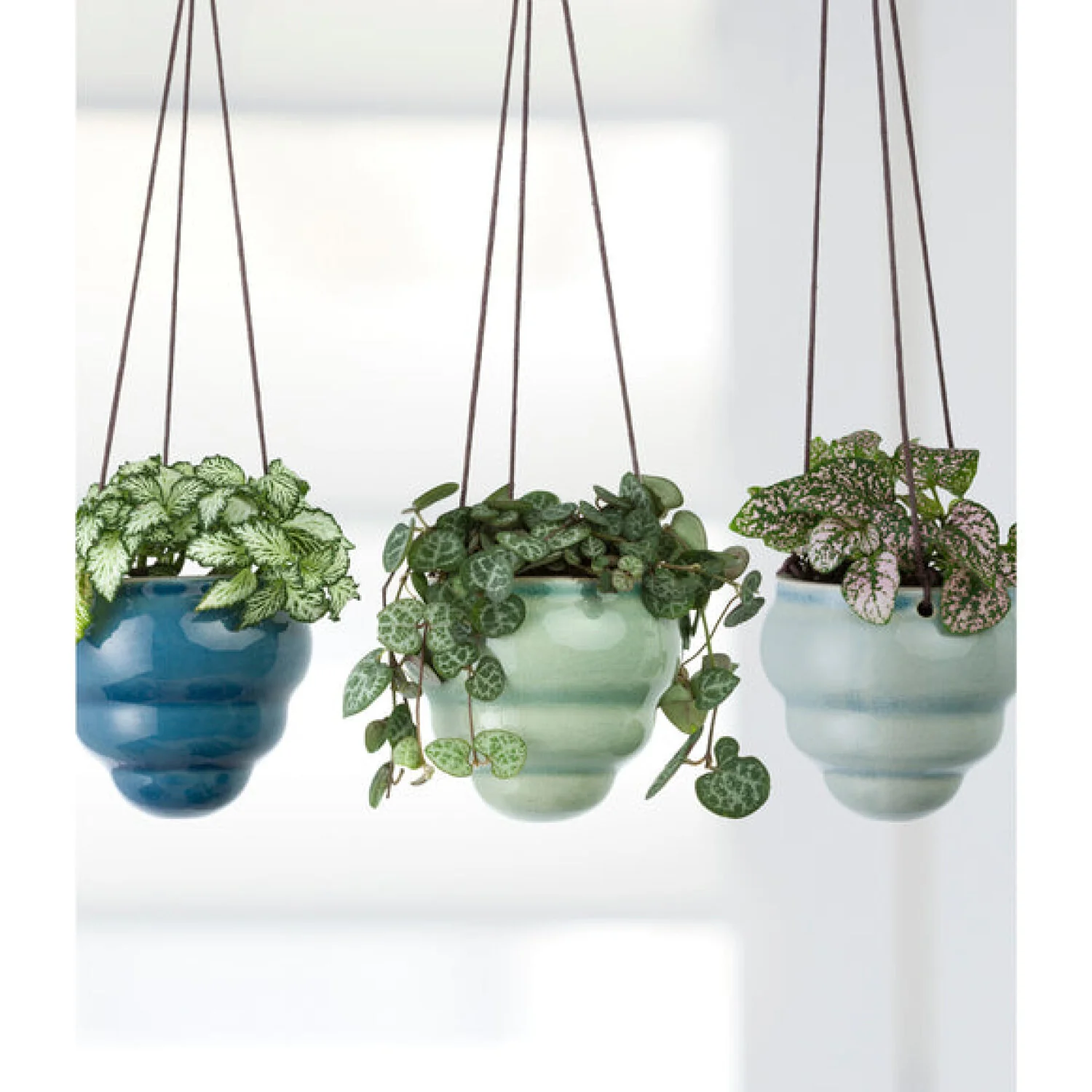 Corona GIG/HBOMTRIO Burgon & Ball® Baby Bombini Trio Vases - Image 5