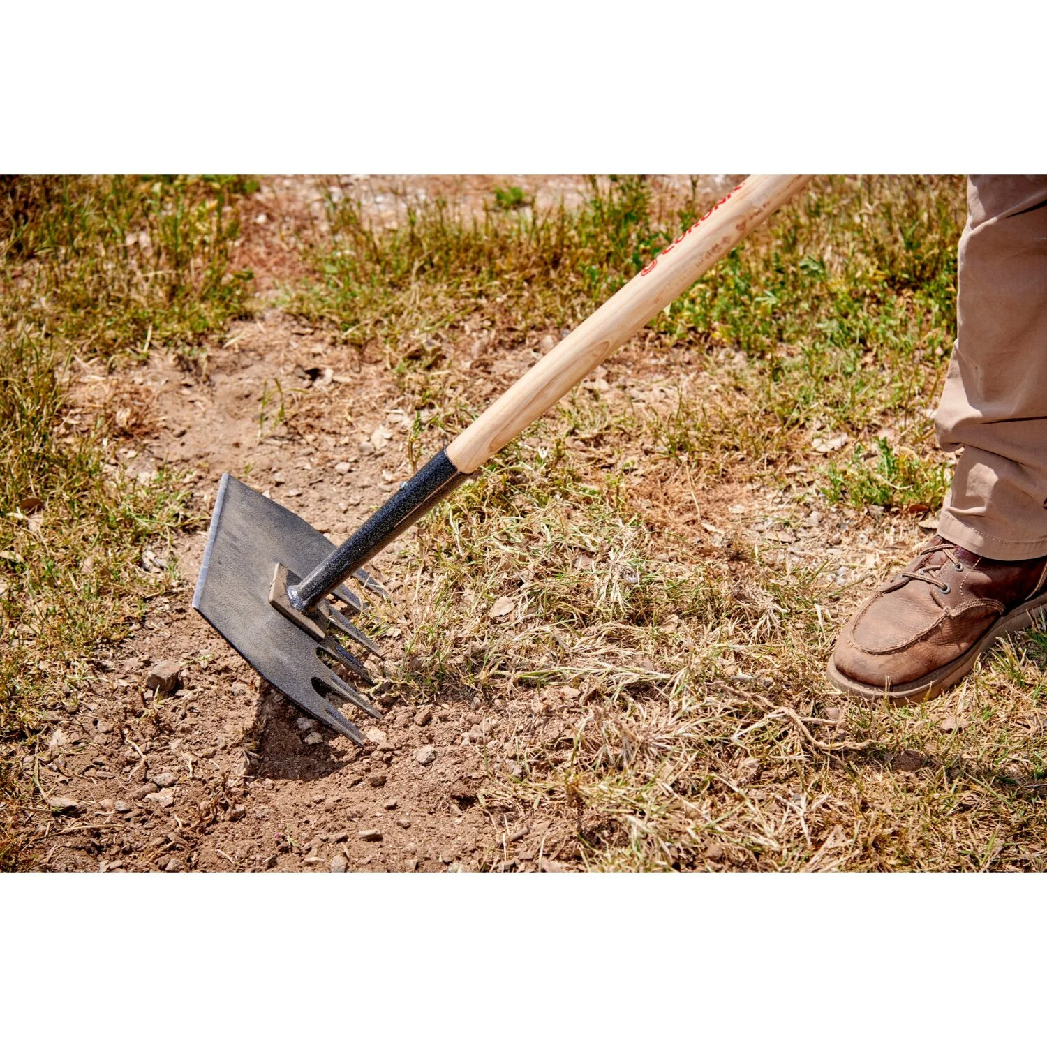 Corona SH 65000 McLeod Hoe - Image 2