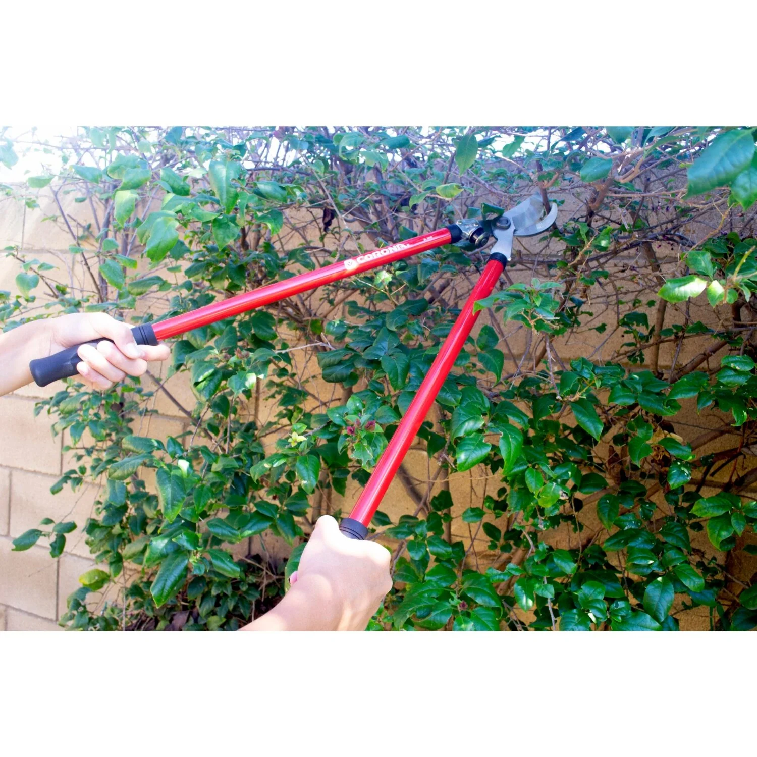 Corona SL 3310 Bypass Lopper, 25 in., 1-1/2 in. Cut Capacity - Image 6