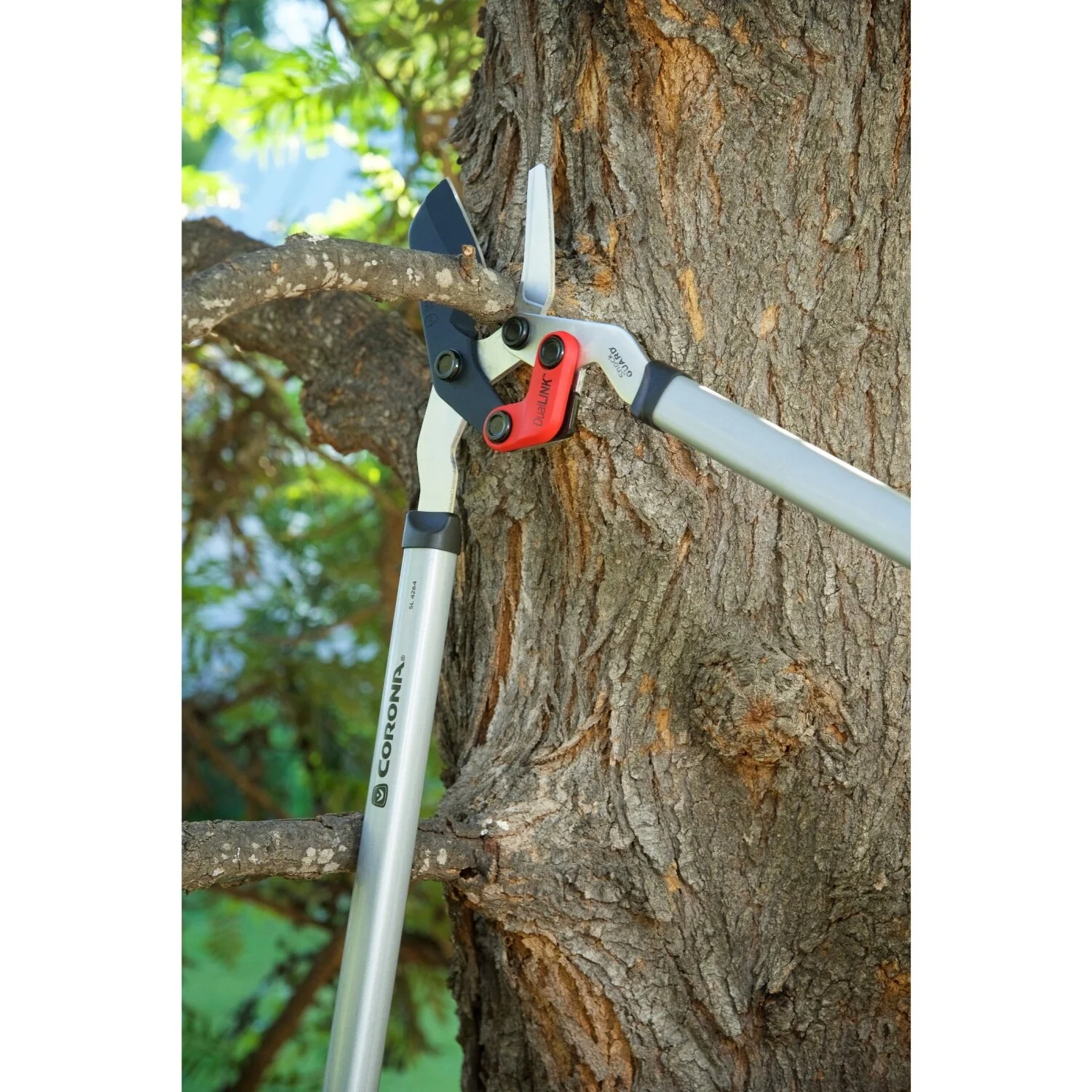 Corona SL 4264 DualLINK Bypass Lopper, 1-3/4 in. Cut Capacity - Image 6