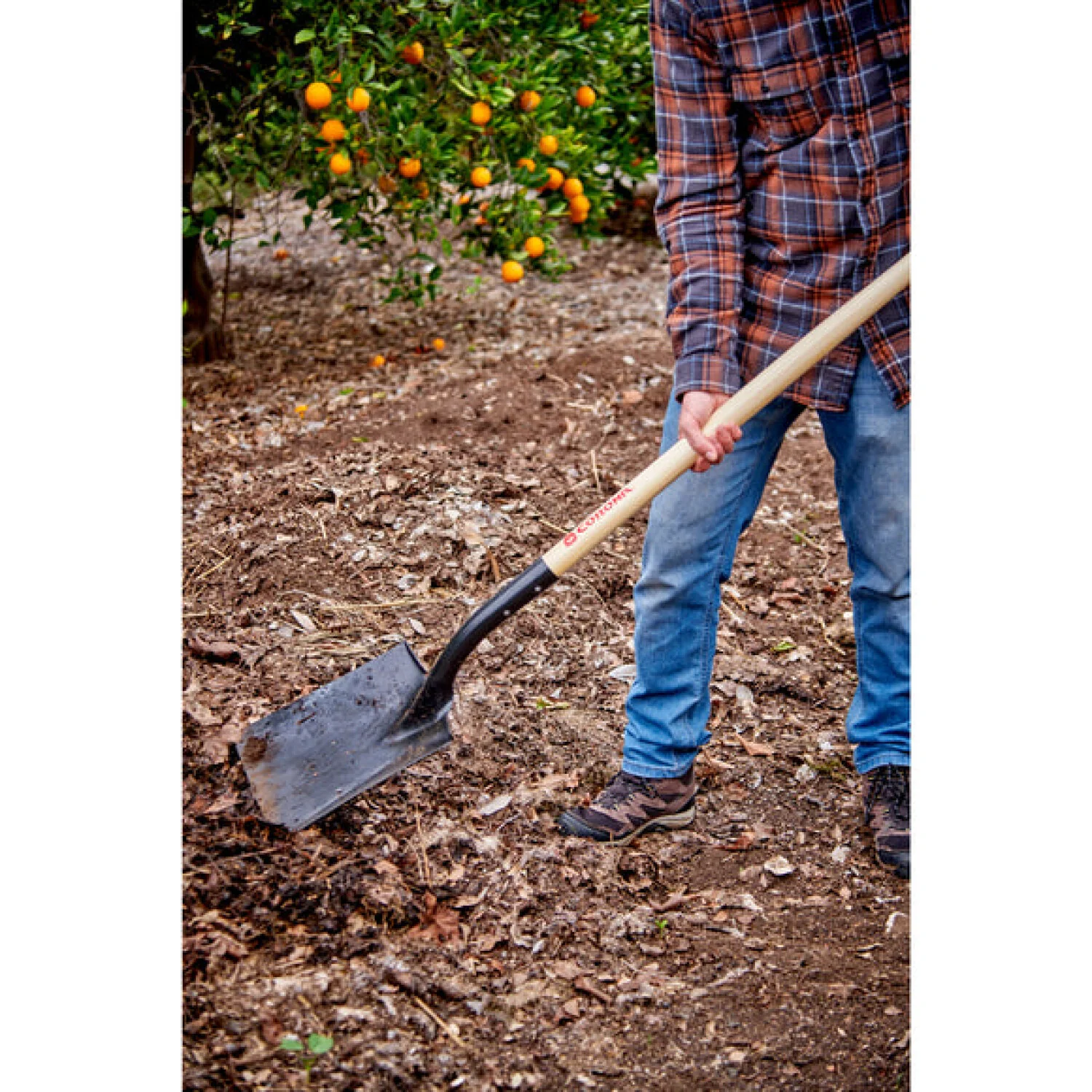Corona SS 27000 #2 Square Point Shovel - Image 4